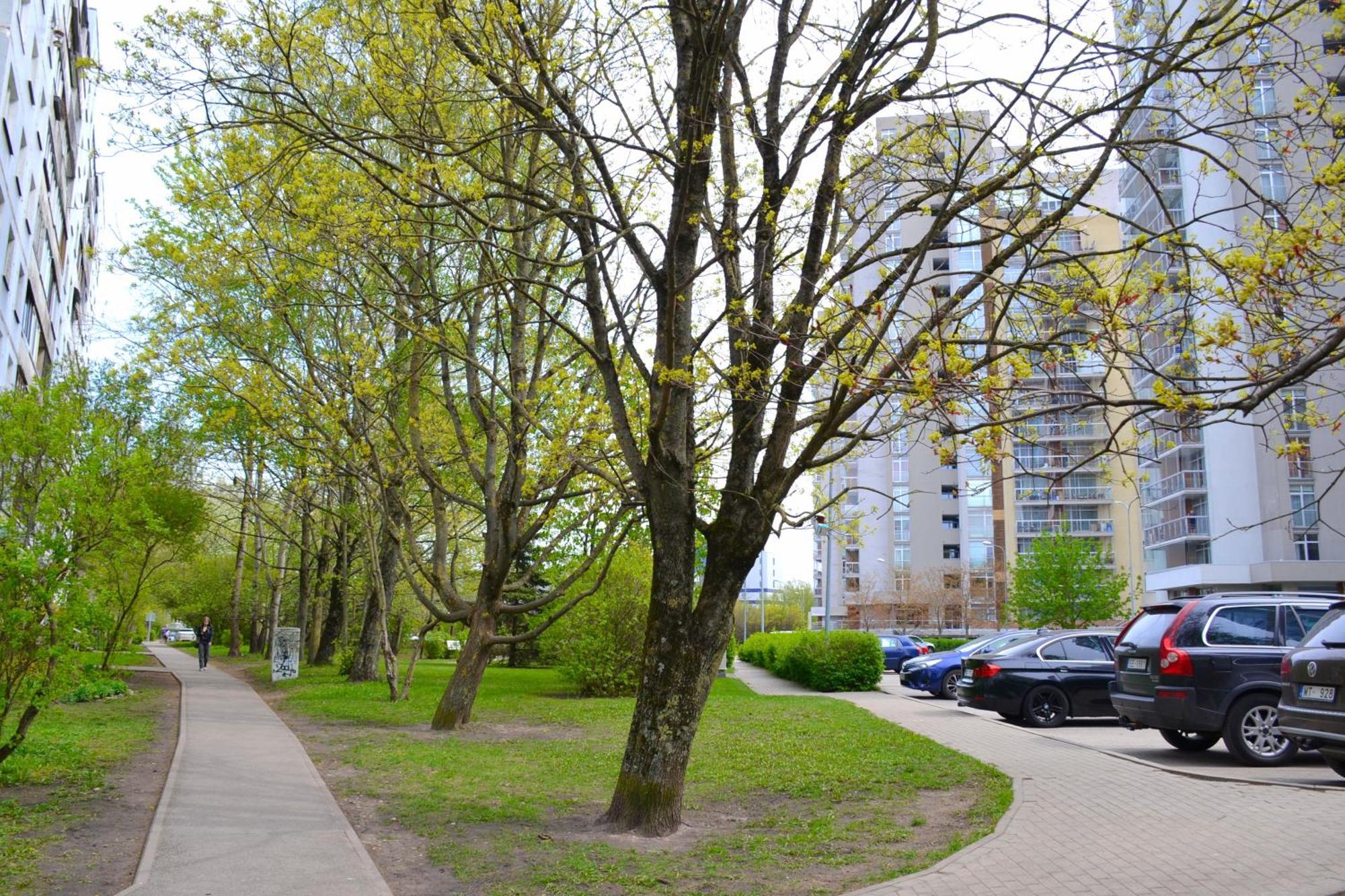 Imanta Apartment Riga 2Х Rooms 52М2 ภายนอก รูปภาพ
